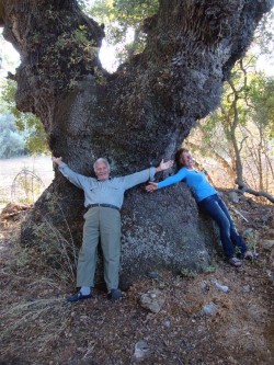 Bijzondere krachtplaatsen bezoeken en beleven met isabe - ineke brinkmann